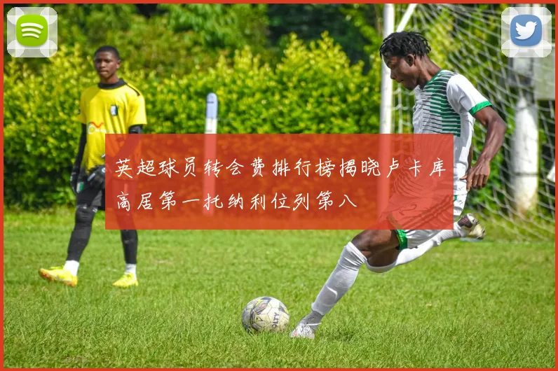 英超球员转会费排行榜揭晓卢卡库高居第一托纳利位列第八